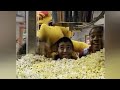 Barney Song The Popcorn Song Barney S Sense Sational Day