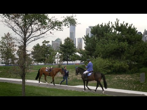 Way To The Top | Jur Vrieling