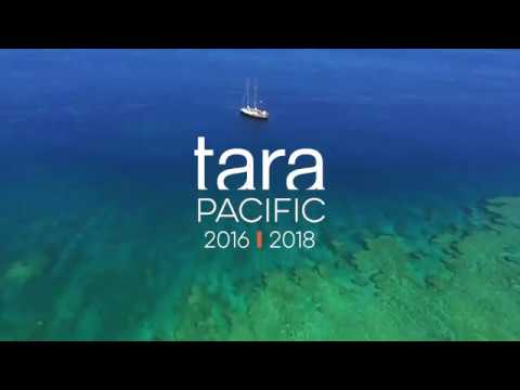 Return of the Tara Pacific expedition 2016-2018
