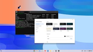 How to Open the Linux Terminal on Chromebook