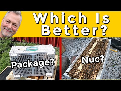 Beekeeping | Which Is Best: 5 Frame Nuc or 3 lb Package?