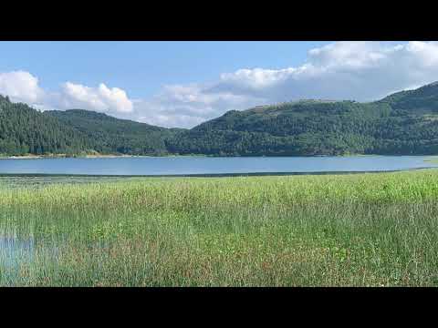 Kahraman Deniz Suç Mahali Cover Murat Türkan