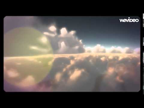 Alison David - Dreams Eckominime reproduction