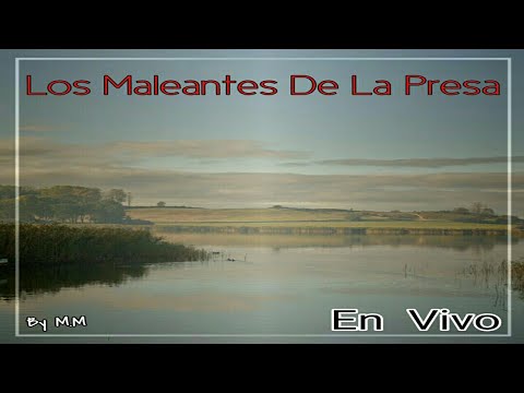 Los Maleantes De La Presa-Cuando Anduve Como Perro (En Vivo Fp)