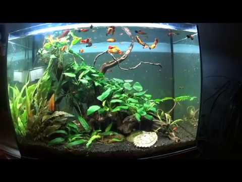 72l Akvárium