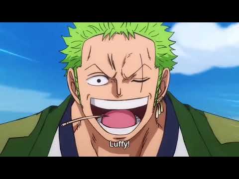 Luffy and Zoro .....voice switch