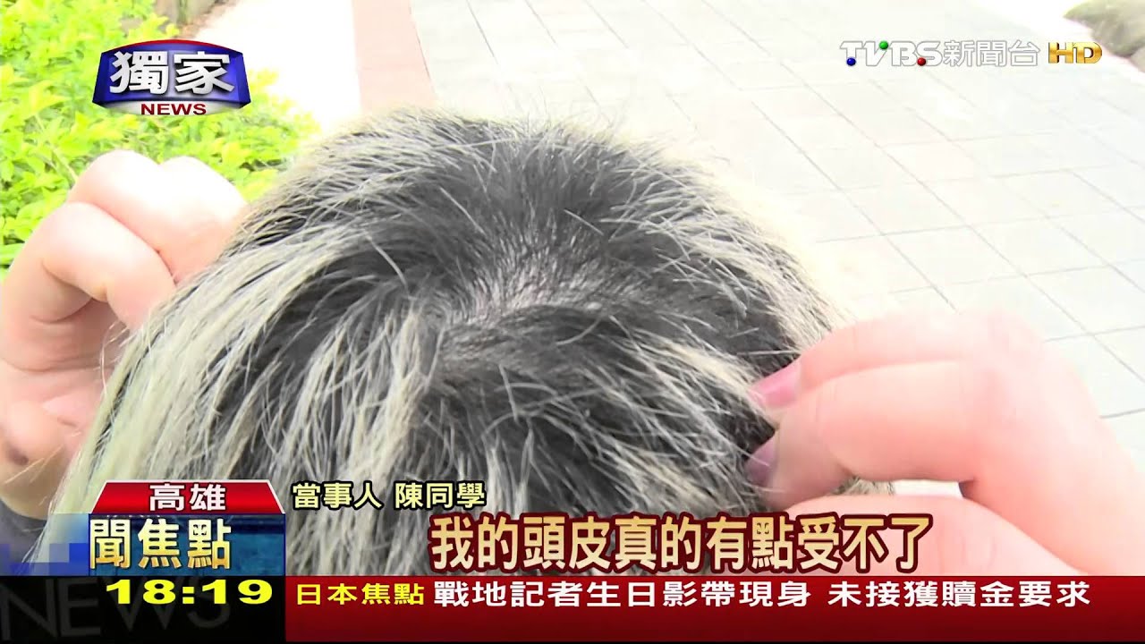 獨家／漂染不出「深灰色」　女大生變白髮刺蝟頭