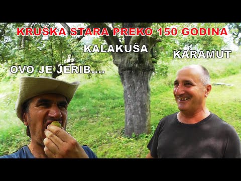 SRCE JE TAMO GDJE SAM ROĐEN