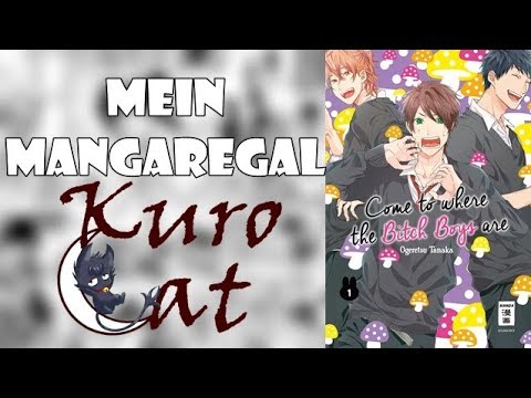 Come to Where The Bitch Boys Are | Mein Mangaregal #20
