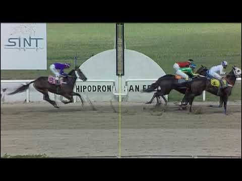 210401 c03 - 1° EL NANO - CARRERAS SINT PAYSANDU