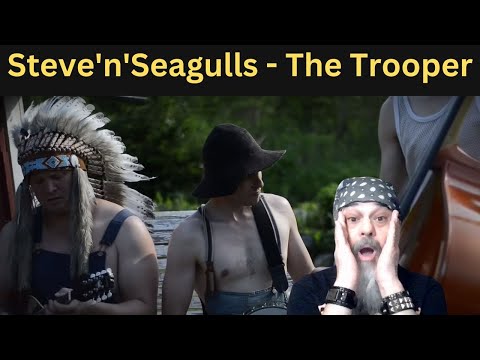 THESE GUYS ARE AWESOME! - Metal Dude * Musician (REACTION) - Steve'n'Seagulls - "The Trooper" (LIVE)
