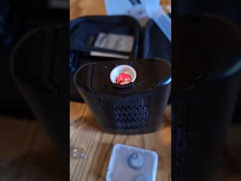 💥Angus Enhanced💥@YLLVAPE #shortvideo #remlag