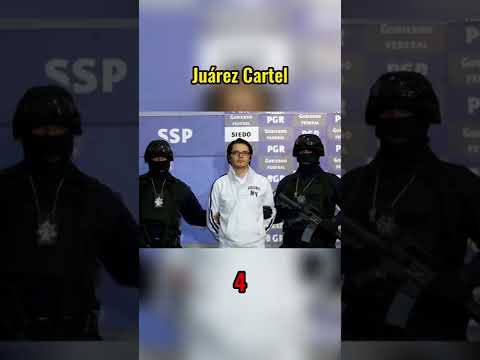 Most Dangerous Cartels In Mexico #shorts