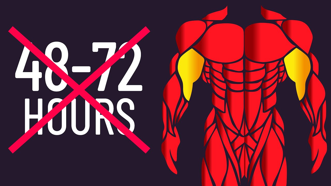 How Long Should You Wait to Train a Muscle Again?