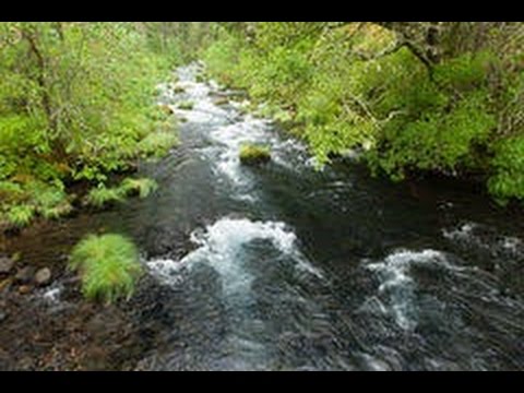 A Piece of Equanimity