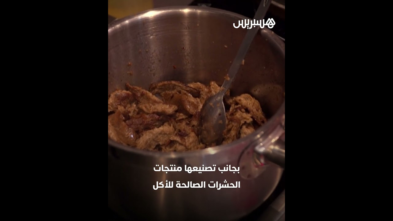 أول مطعم يقدم أطباقًا صغيرة في العالم يعتمد على الحشرات thumbnail