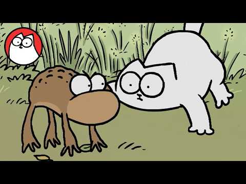 Is Your Cat a Fierce Predator? (Full Colour Special)