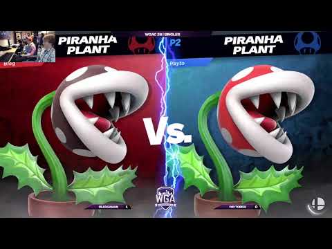 Bleggaman (Charizard, Plant) vs. Paytobiss (K Rool, Plant) - WGA Colosseum 28 - Winners R2