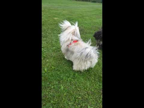 Albena und Arny in Aktion 1