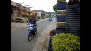 preview picture of video 'Kampung wisata Vanderman kota batu malang'