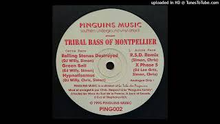 Tribal Bass Of Montpellier - Hypnotisamus - Pinguins Music 002