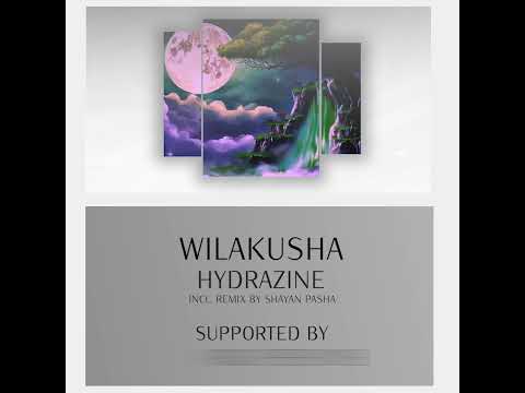 NEW RELEASE: Wilakusha - Hydrazine (Incl. Remix by Shayan Pasha) [Polyptych]