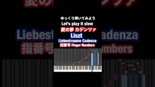 Download lagu liebestraume Cadenza/Liszt Slow #pianotutorial #liszt #synthesia mp3 Download lagu liebestraume Cadenza/Liszt Slow #pianotutorial #liszt #synthesia mp3