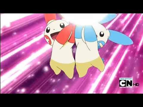 pokemon Dawn vs Ursula-[AMV]