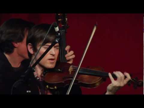 Turbulent Plover (Zbigniew Seifert)