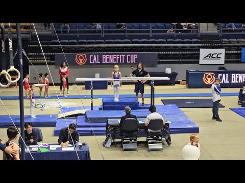 Gymnastics, Boys Level 3, 2025 Cal benefit cup, Berkley