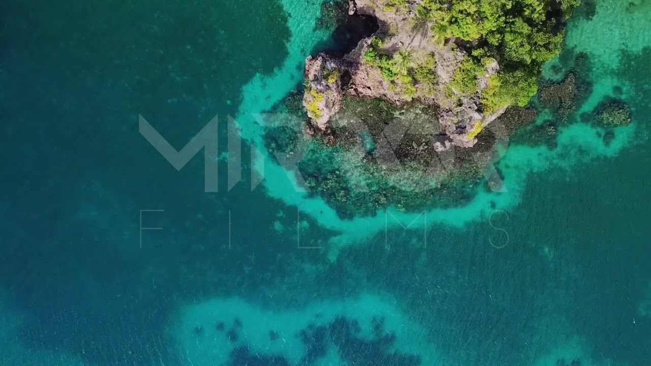 Cabeza de Morgan – Providencia  P3