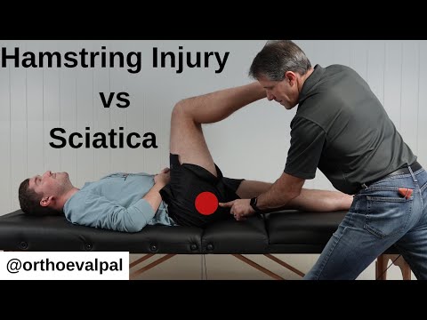 L4 Nerve Root Compression Evaluation with Paul Marquis PT