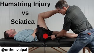 Proximal Hamstring Injury Exam (vs Sciatica)
