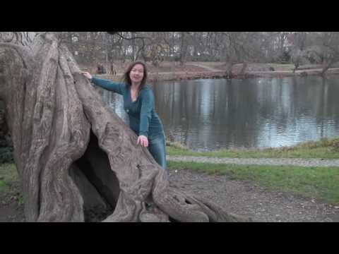 Fest verwurzelt in der Erde - Wolfgang Bossinger