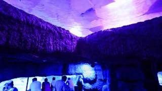 Antalya Aquarium - 94