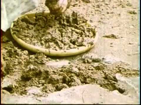 Trailer Ro-Revus Talks About Worms (1971) -puppets talk about Ascaris parasitic worm-