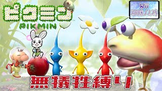 【🔴ＬＩＶＥ】Wiiの懐かしいゲームするよ!!～ピクミン無犠牲の旅～【ピクミン】