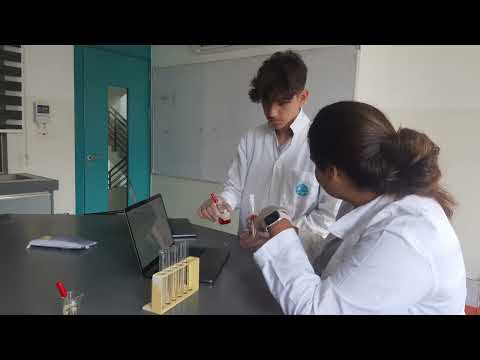 MYP 5 Year 11 Chemistry: Need to know the PH of your Seawater?