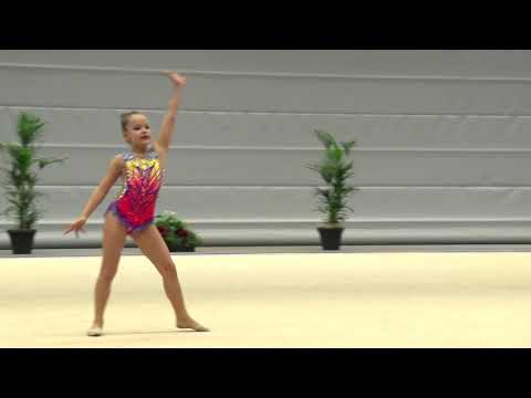 Vinokur Yarin 2010 ISR