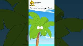 Por Que Cocos Não Afundam (Explicado) #natureza #incrível