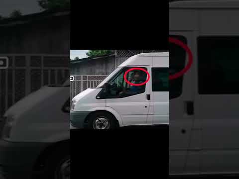 Șofer prahovean iresponsabil