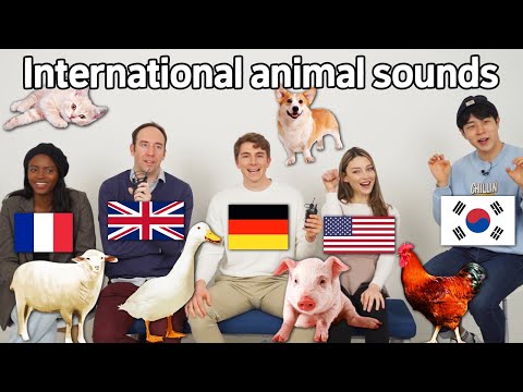 Animal Sound Differences Around The World!