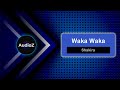 Waka Waka This Time For Africa Shakira Remix TikTok