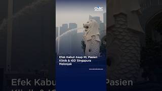 Efek Kabut Asap RI, Pasien Klinik & IGD Singapura Melonjak