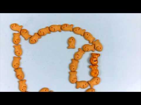 Great Goldfish Gulp!