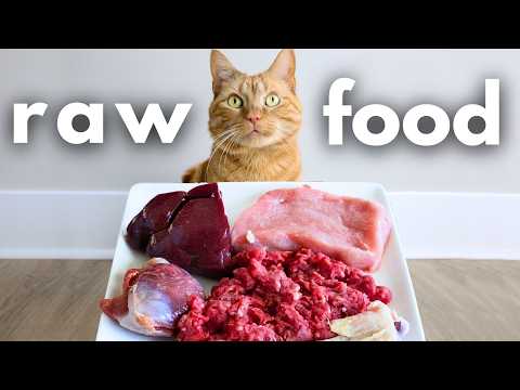 How To Raw Feed Your Cat For Beginners (Complete DIY Guide)