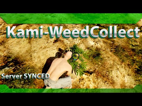 Kami-WeedCollect