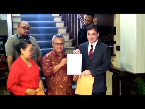 Bahan alami untuk potensi Yang paling aman untuk potensi