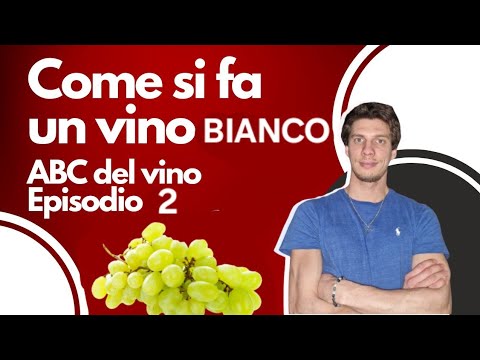 Come si fa un Vino BIANCO? ABC del Vino Ep.2