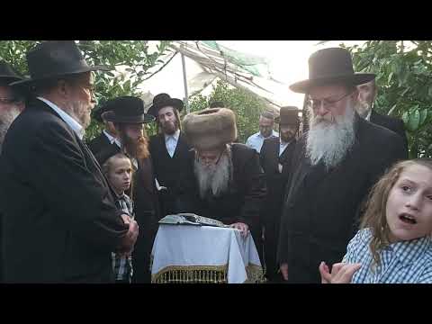 האדמו"ר מקאזניץ בברכת האילנות בפרדס האתרוגים בכפר חב"ד ב- ל' ניסן